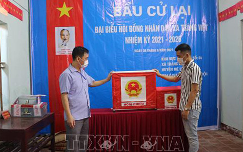 Hà Nội: Kỷ luật Đảng đối với Phó Bí thư Thường trực Đảng uỷ xã Tráng Việt vì mang 75 phiếu về nhà tự gạch